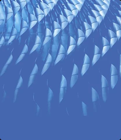 Brokers